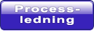 Processledning
